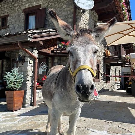 Hotel La Grange - Animal Chic Hotel Courmayeur Exterior photo