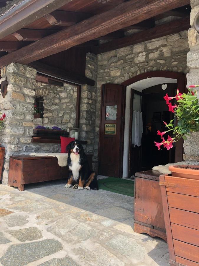 Hotel La Grange - Animal Chic Hotel Courmayeur Exterior photo