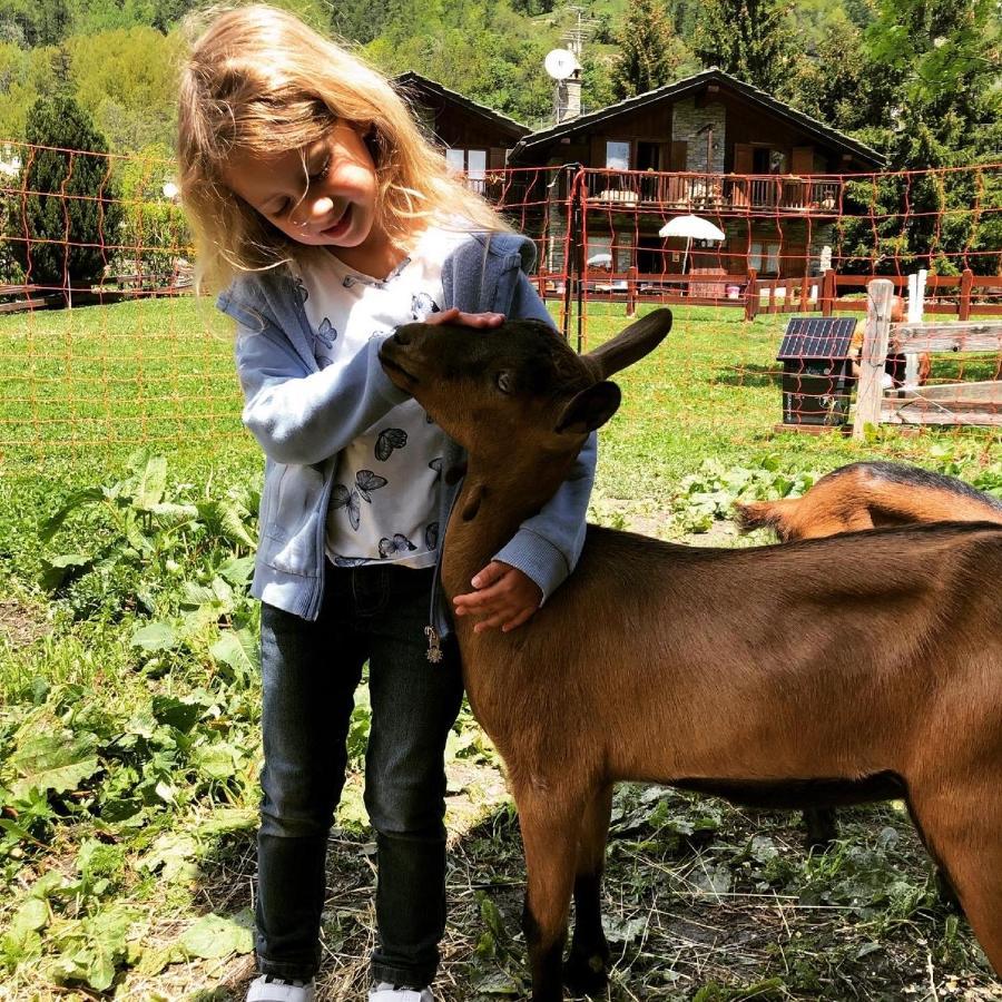 Hotel La Grange - Animal Chic Hotel Courmayeur Exterior photo