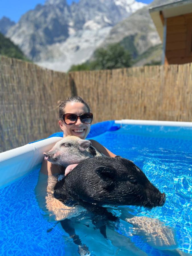 Hotel La Grange - Animal Chic Hotel Courmayeur Exterior photo